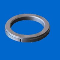 Silicon Carbide Seal Ring